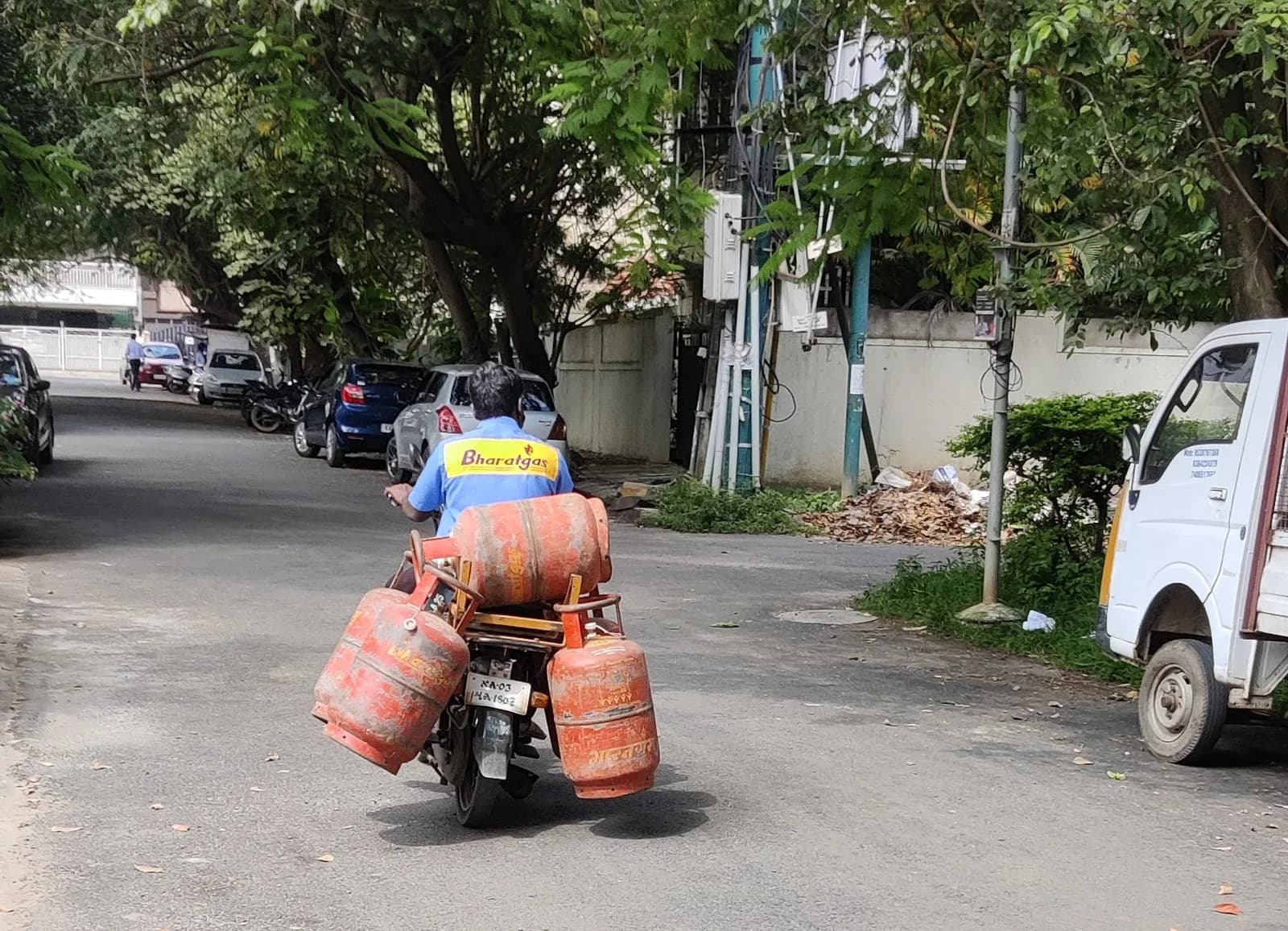 A delivery rider on a motorcycle carrying four LPG cylinders, two hung on each side, down a tree-lined street in Bengaluru